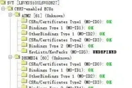 BimmerProCode BMW MGU ATM2 Dkombi4 ECU Validation Service per VIN